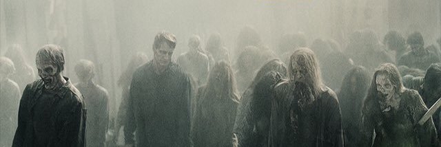 TheWalkingFans's profile banner image