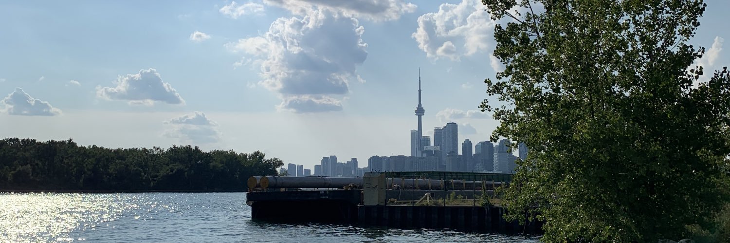 Heidi McCulloch banner