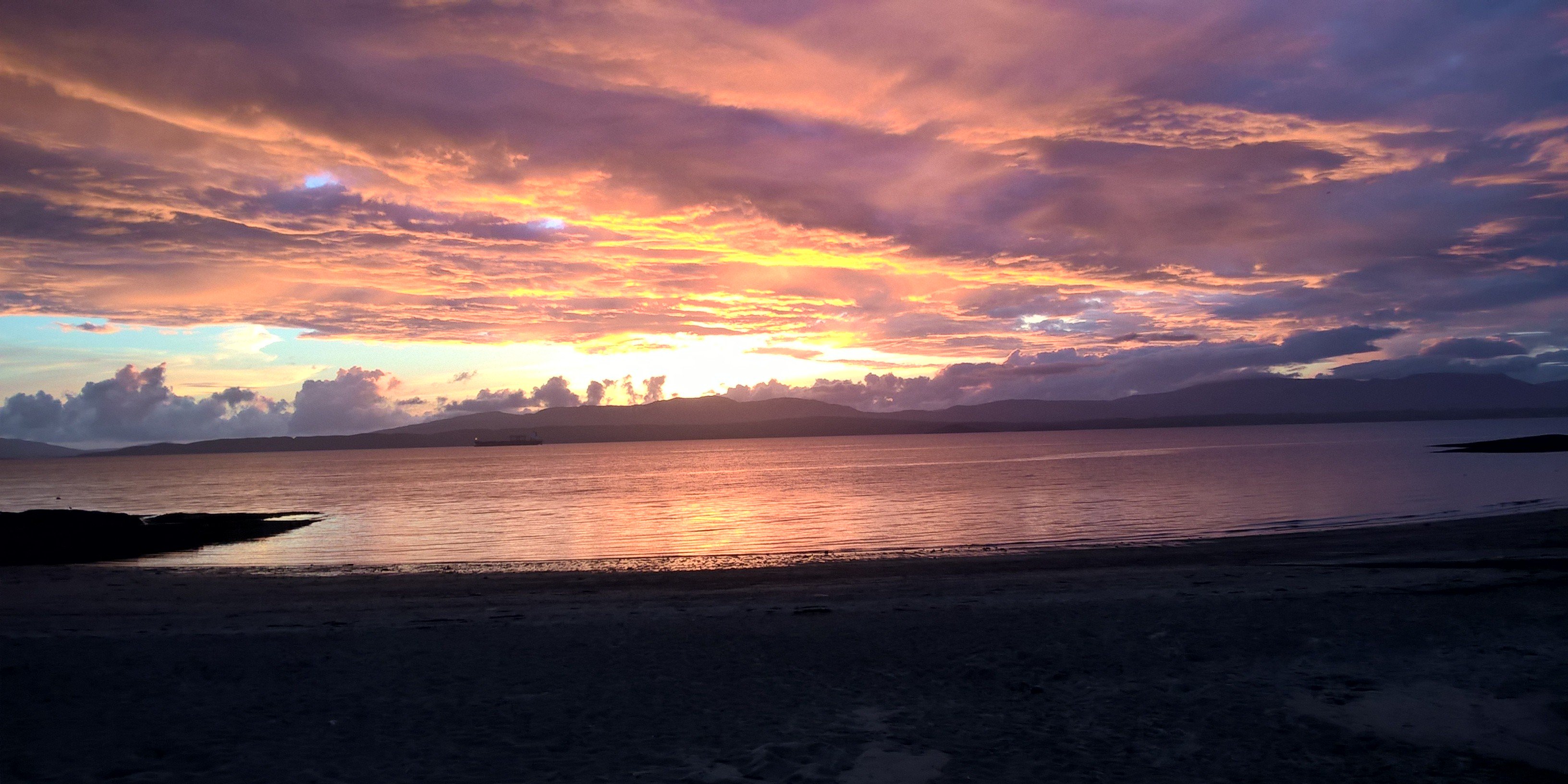 Joyce Johnston banner