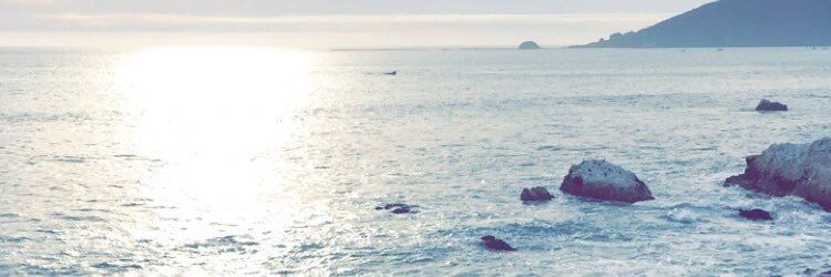 laurenn1122's profile banner image