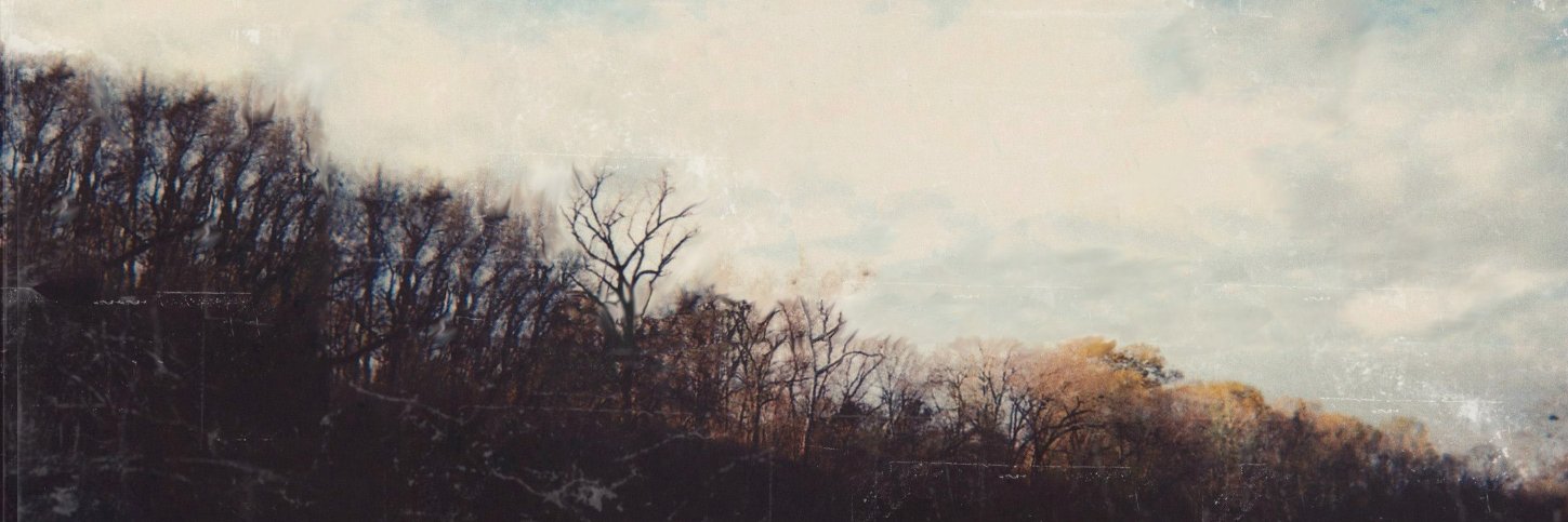 meritbadgemgmt's profile banner image