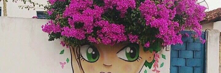 Roisin Gaffney banner