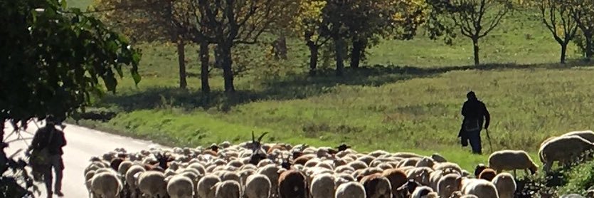 antoinesd1760's profile banner image