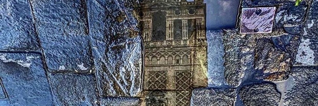 tenor224's profile banner image