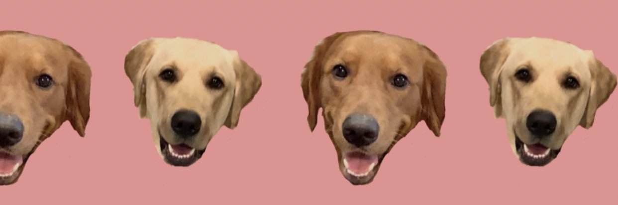 HaileyBuck's profile banner image