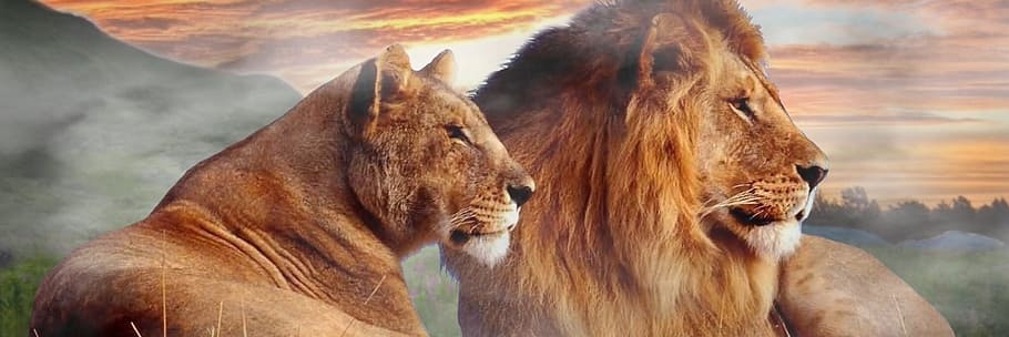 samduvall1988's profile banner image