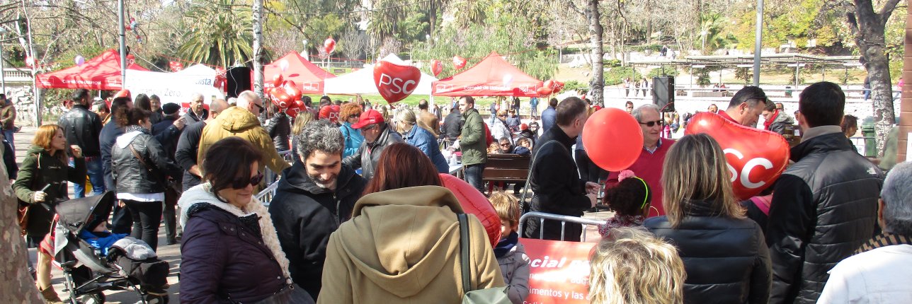 PscCornella's profile banner image