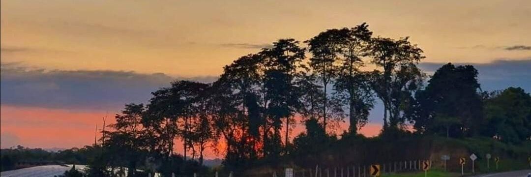 yhanrha55's profile banner image