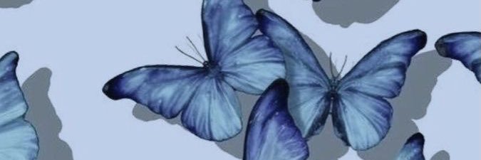 valmarie_'s profile banner image