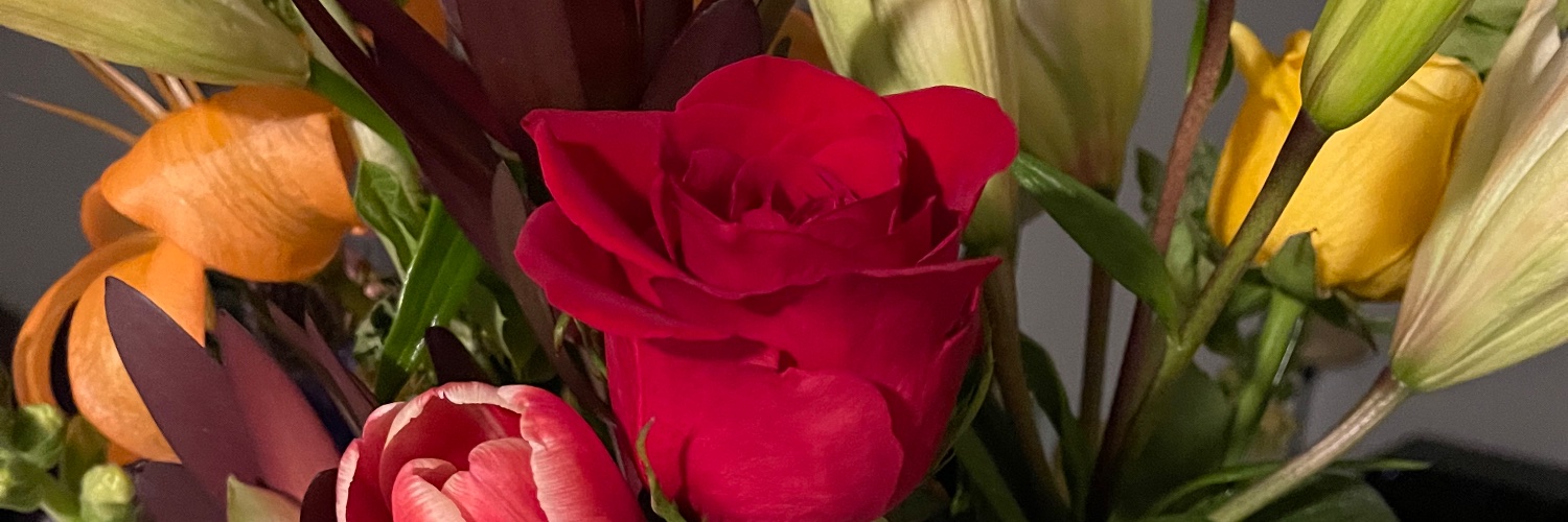 April Jackson banner