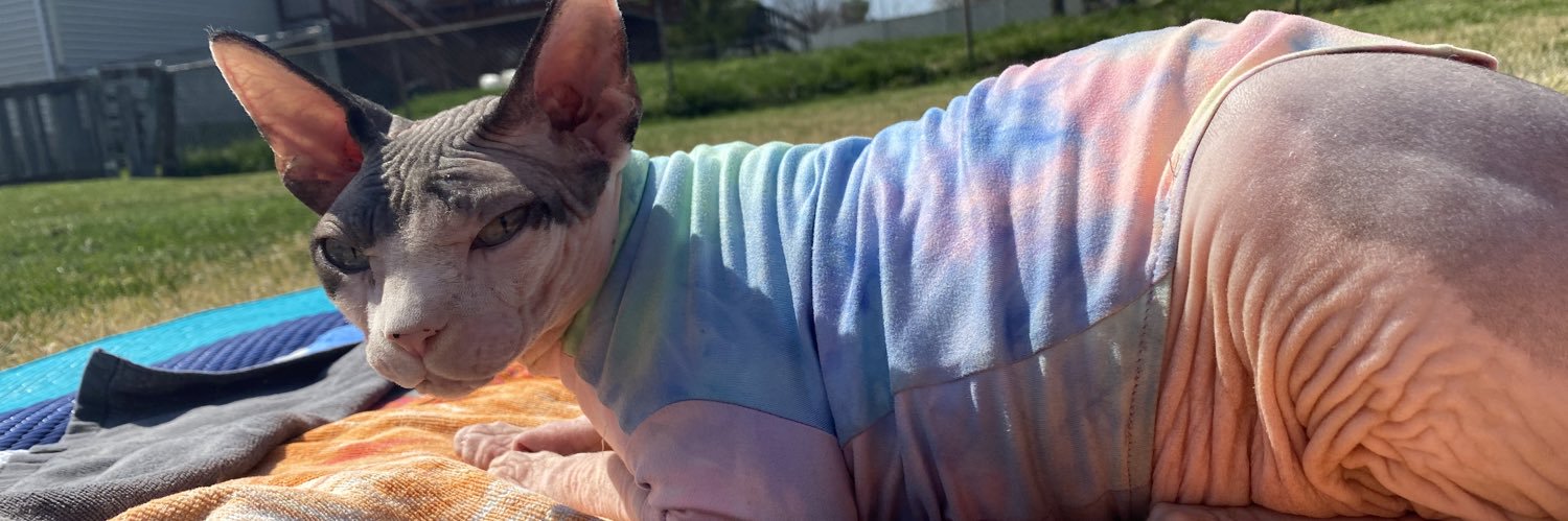 baaabybacon's profile banner image