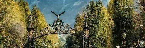 patripaternesi's profile banner image