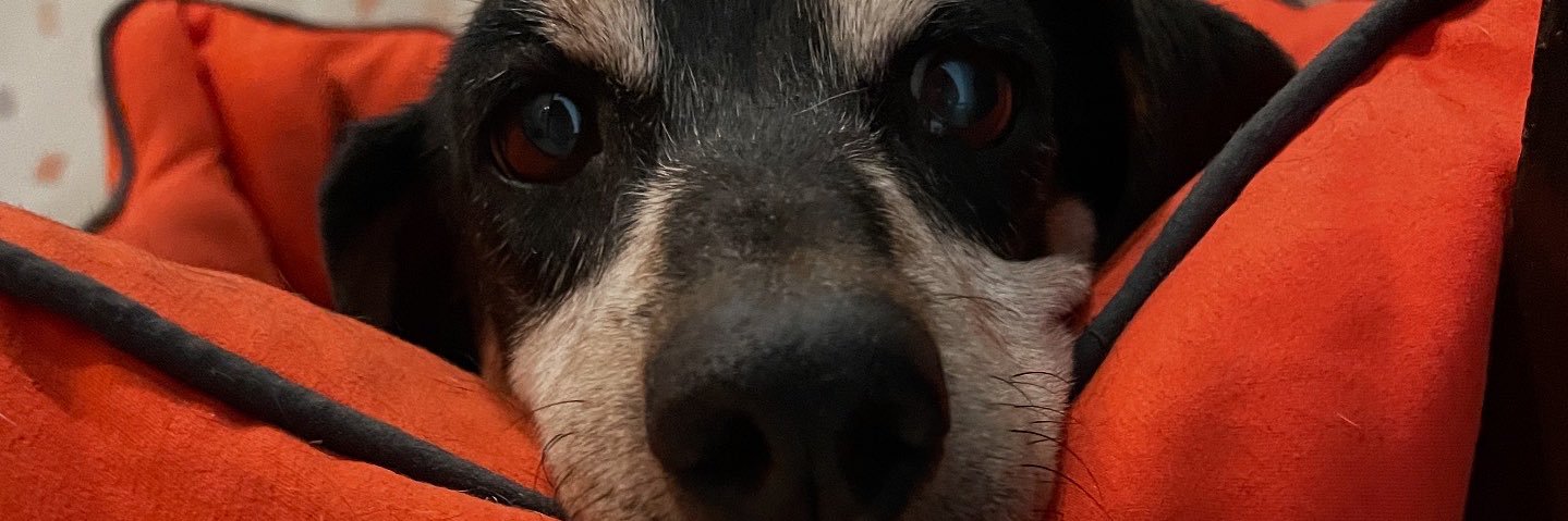 ximenapartidaa's profile banner image