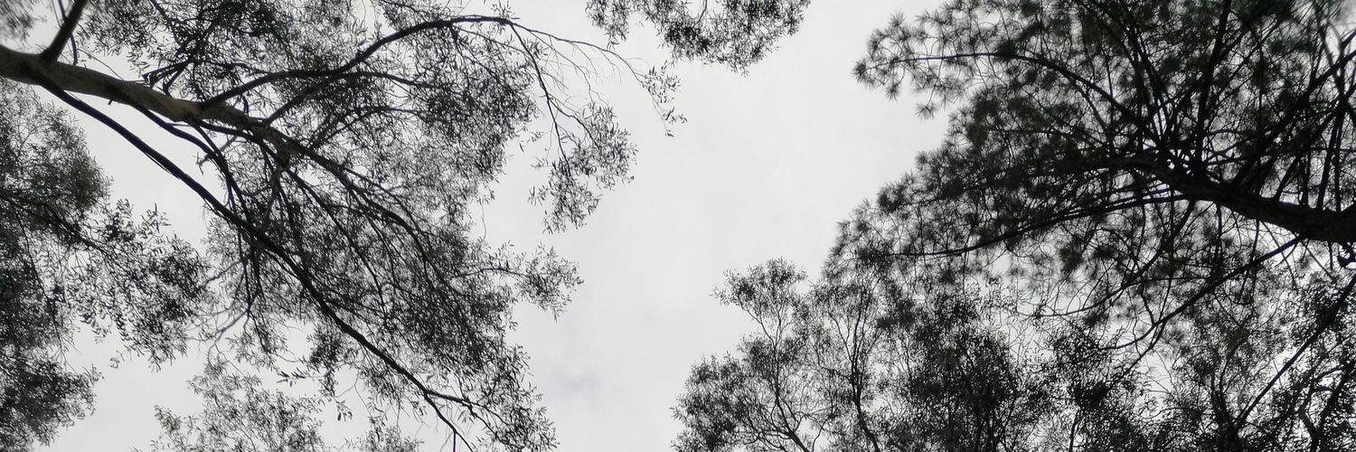 Lucia_Arosa's profile banner image