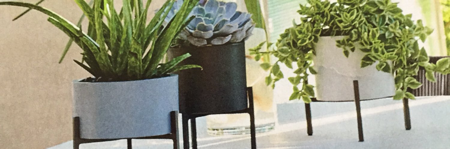 rodmilagro's profile banner image