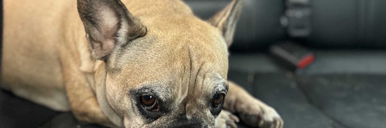 AgusColiqueo's profile banner image