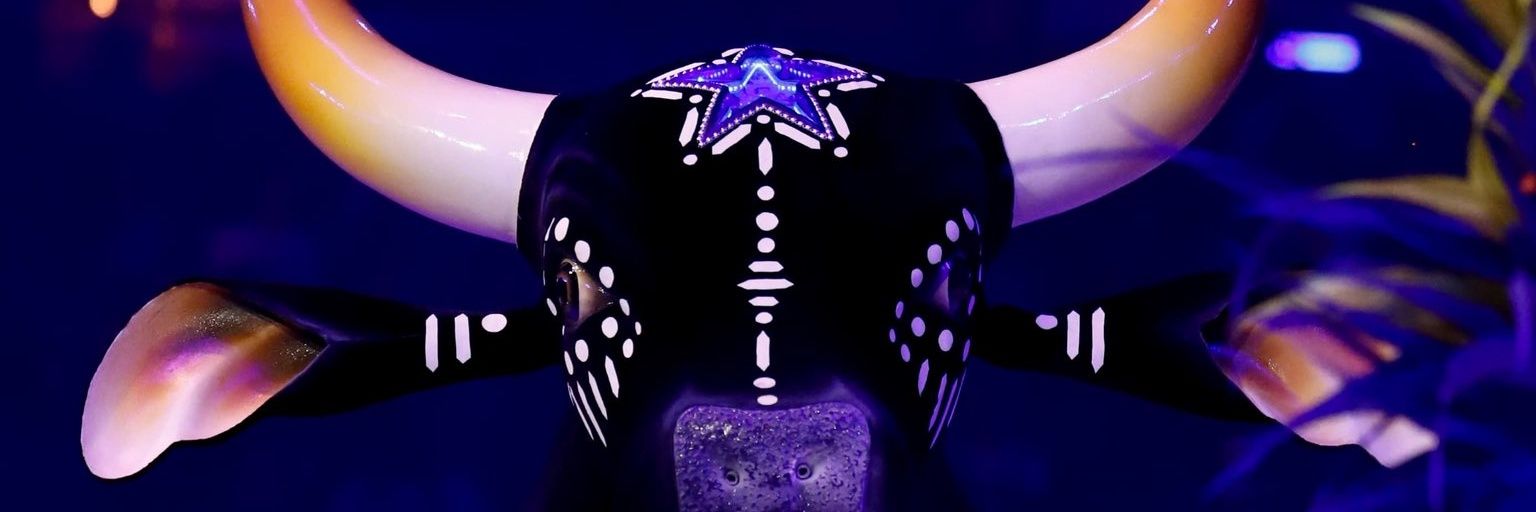 elysena's profile banner image
