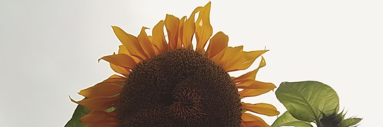 debychristabel's profile banner image