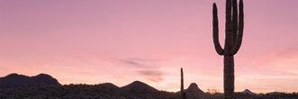AdamRemeny's profile banner image