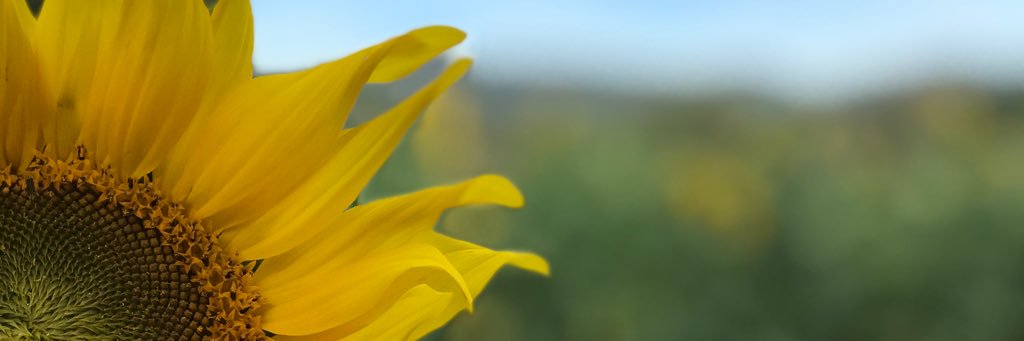 BrittNDuffy's profile banner image