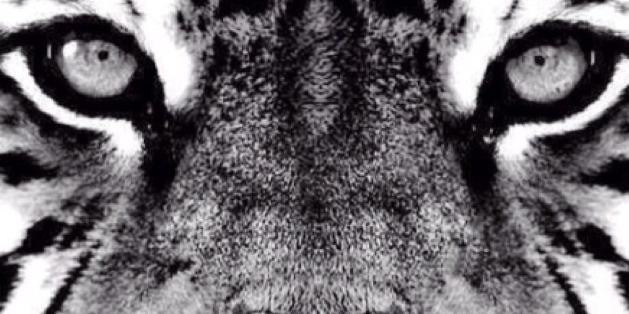 vic_aldama's profile banner image