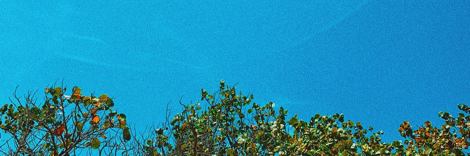 Zoë banner