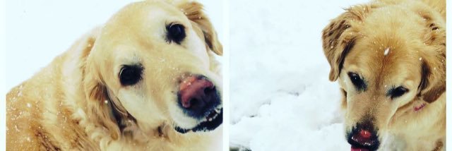 jon_foulds's profile banner image