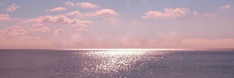 OvandoLudmila's profile banner image