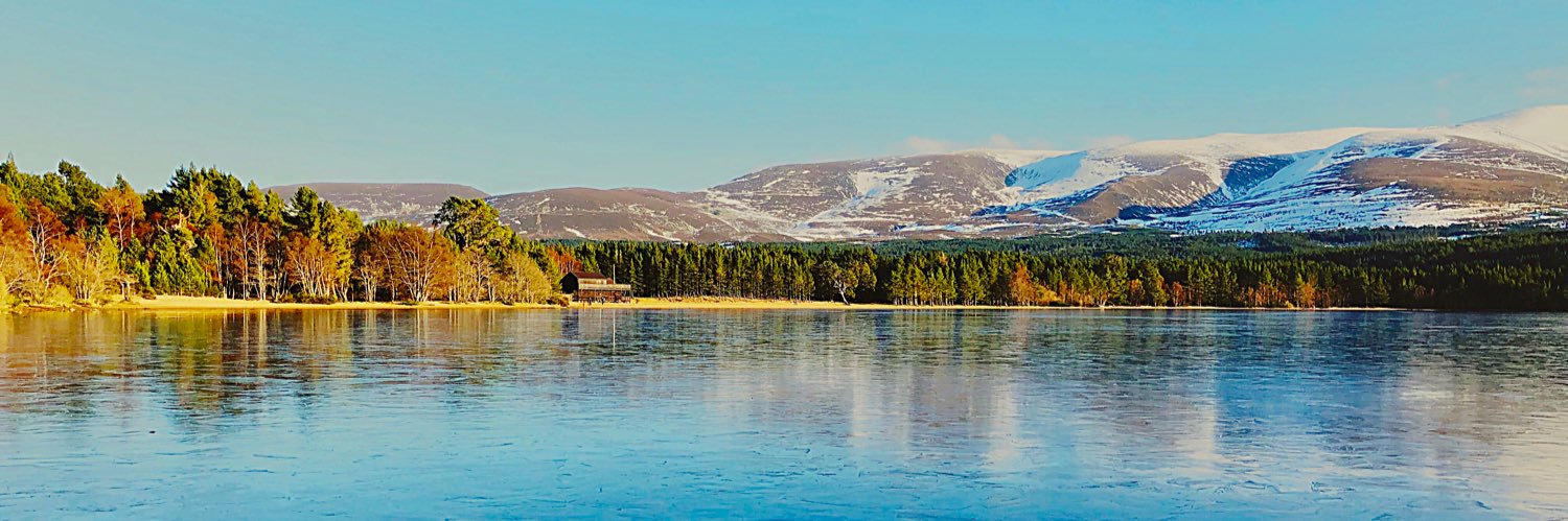 Dale Vimalachandran banner