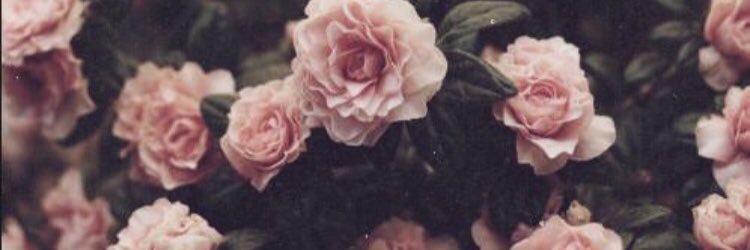 ImogenToulson's profile banner image