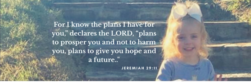 Jamie Alexander banner