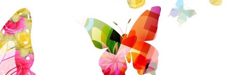 niiCCa89's profile banner image
