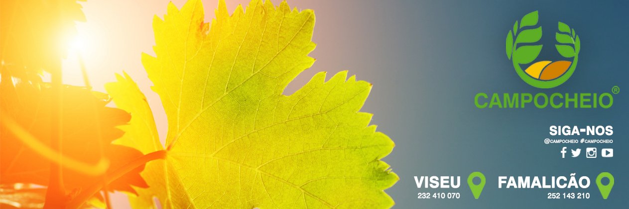 campocheio's profile banner image