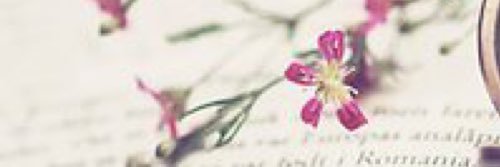 shoshosmith96's profile banner image