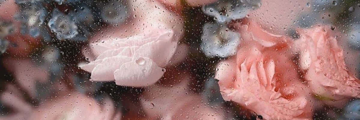 kashabaee's profile banner image