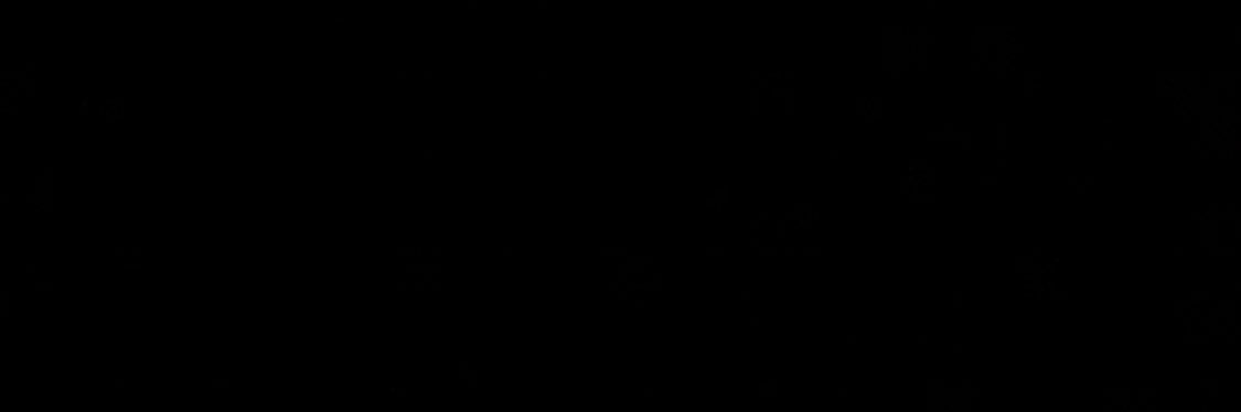 Diamond Simmons banner