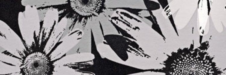 BeccaSabol's profile banner image