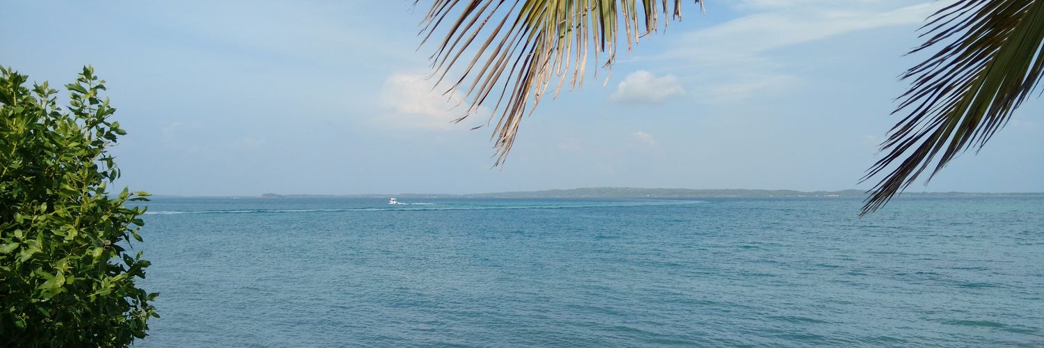 harperbarber's profile banner image