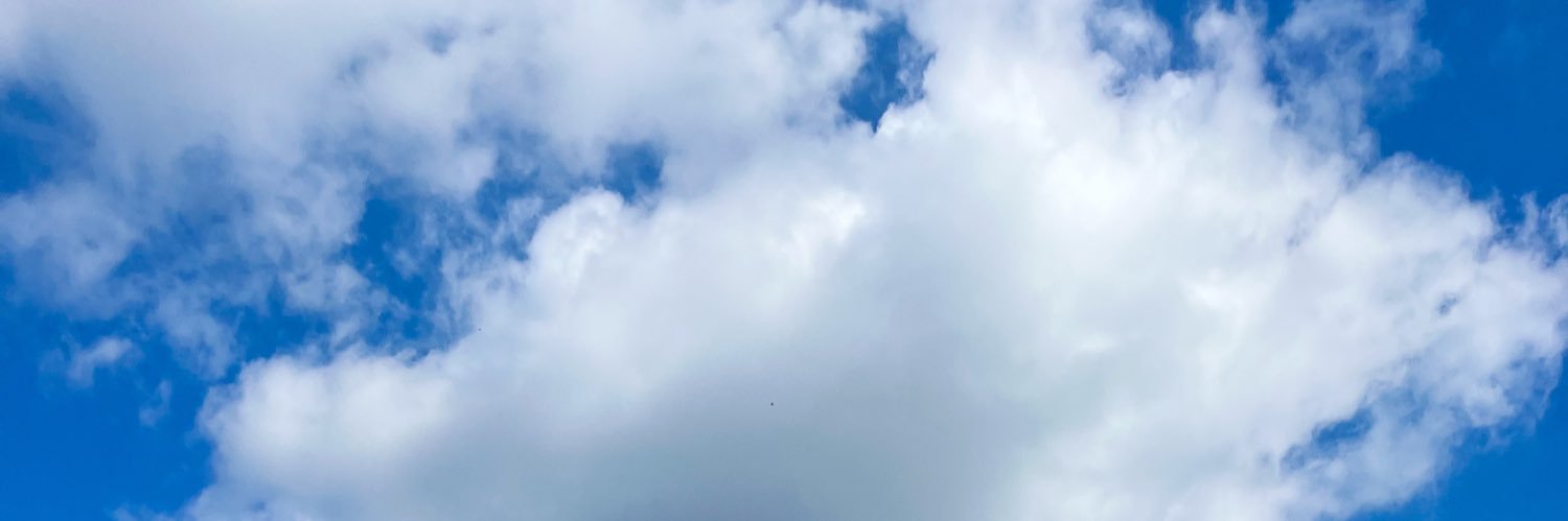 AliceeClemens's profile banner image