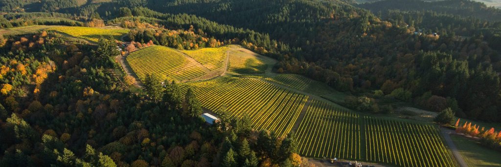 Kramer Vineyards banner