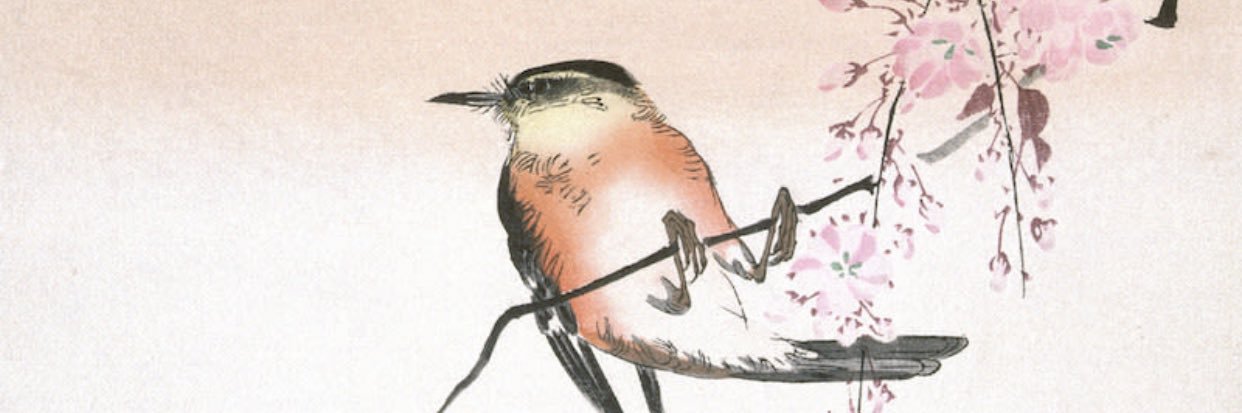 EODMadman's profile banner image