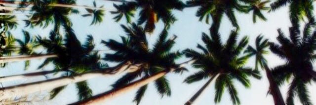 tcartoski's profile banner image