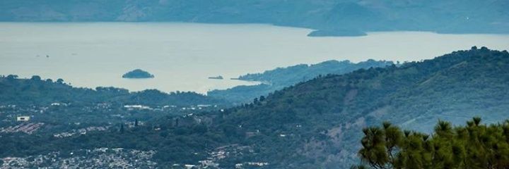 PattyMancia's profile banner image