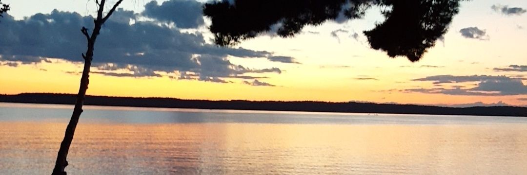 TylerDeWit's profile banner image