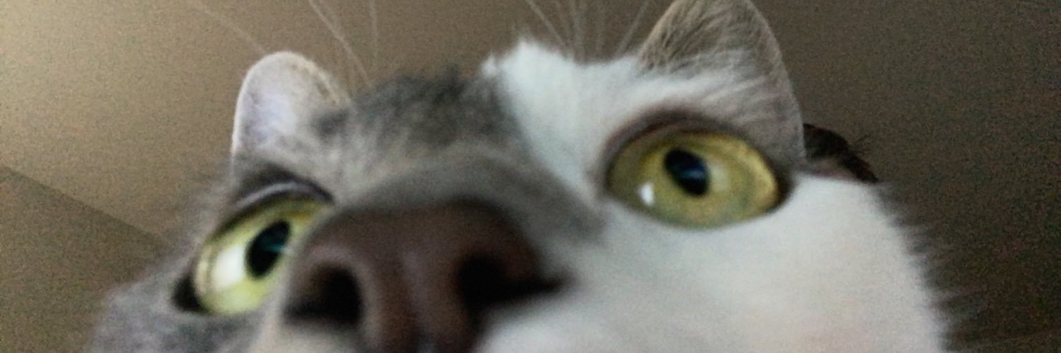 stogieone's profile banner image
