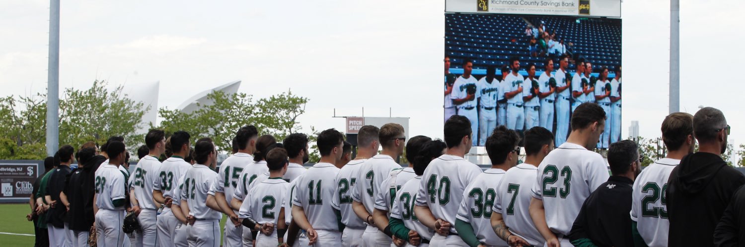 WagBaseball's profile banner image