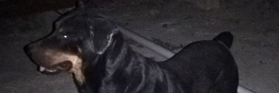 jeffhype1's profile banner image