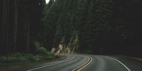 Chloe Collins banner