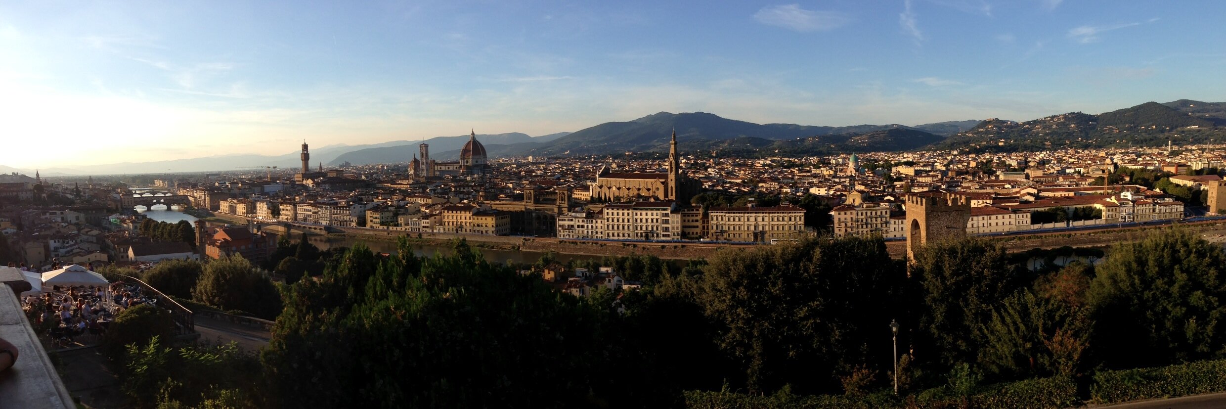 Michael Renner banner