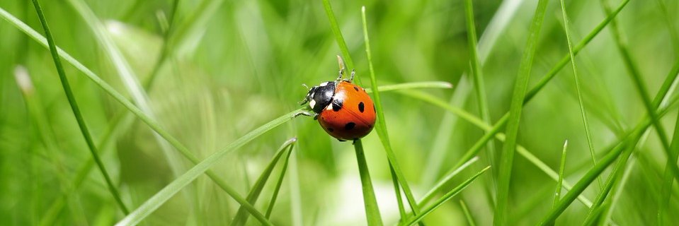 Maria_GGeorgiev's profile banner image